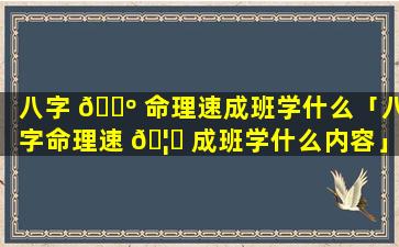 八字 🐺 命理速成班学什么「八字命理速 🦅 成班学什么内容」